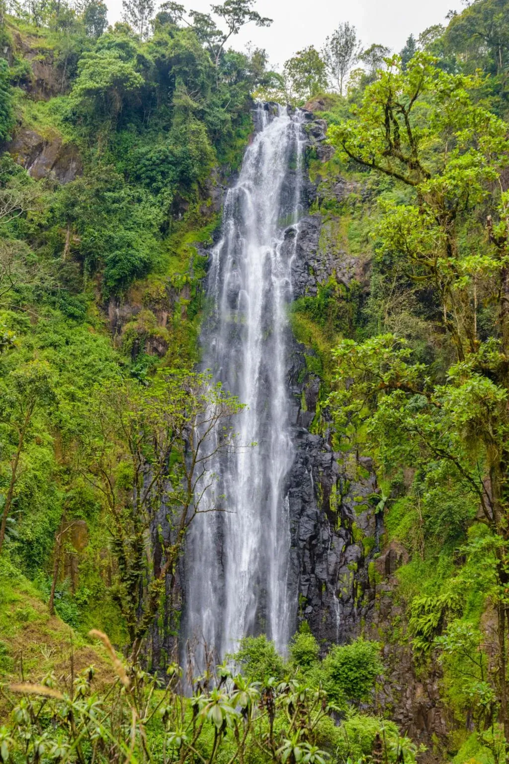 5 Days Moshi & Kilimanjaro Cultural and Nature Experience hero photo