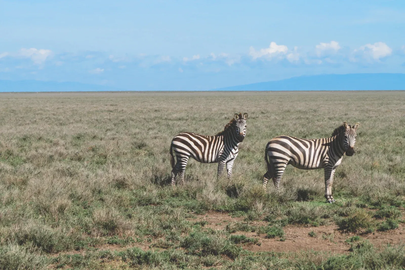 5-Day Sharing Budget Camping Safari hero photo