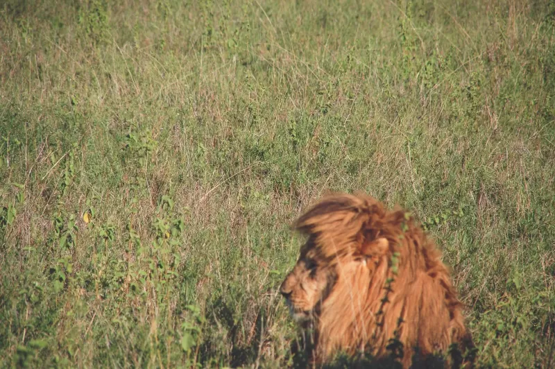2-Day Tour to the Largest Lake of Ethiopia Bahidar gallery image