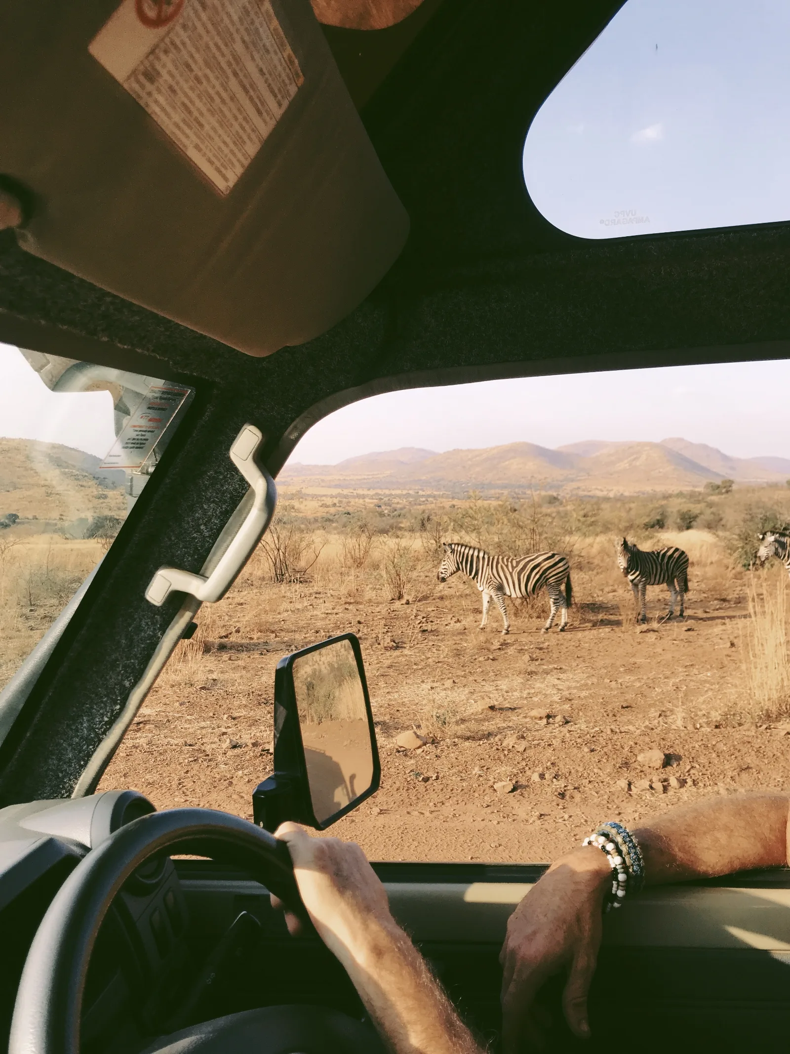 7-Day Big Cats Botswana Safari gallery image
