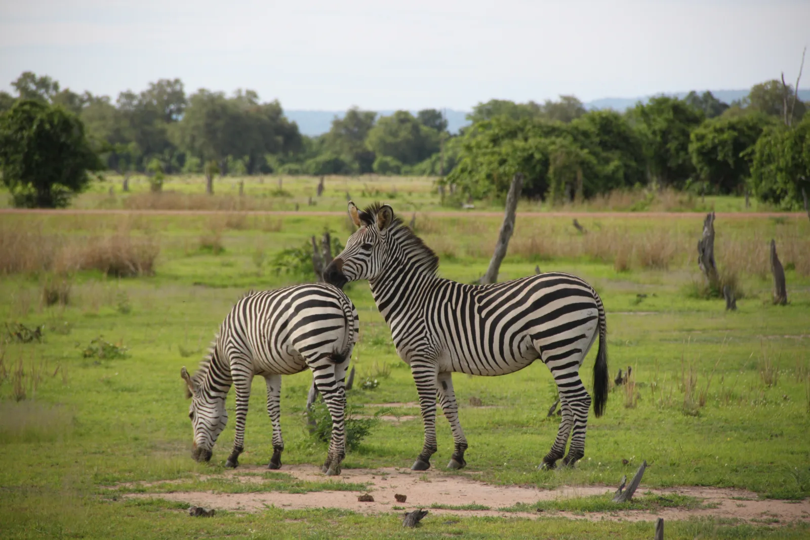 7-Day Victoria Falls, Chobe Safari & Okavango Delta gallery image