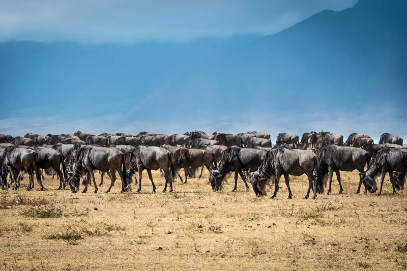 7-Day Expedition Tour gallery image