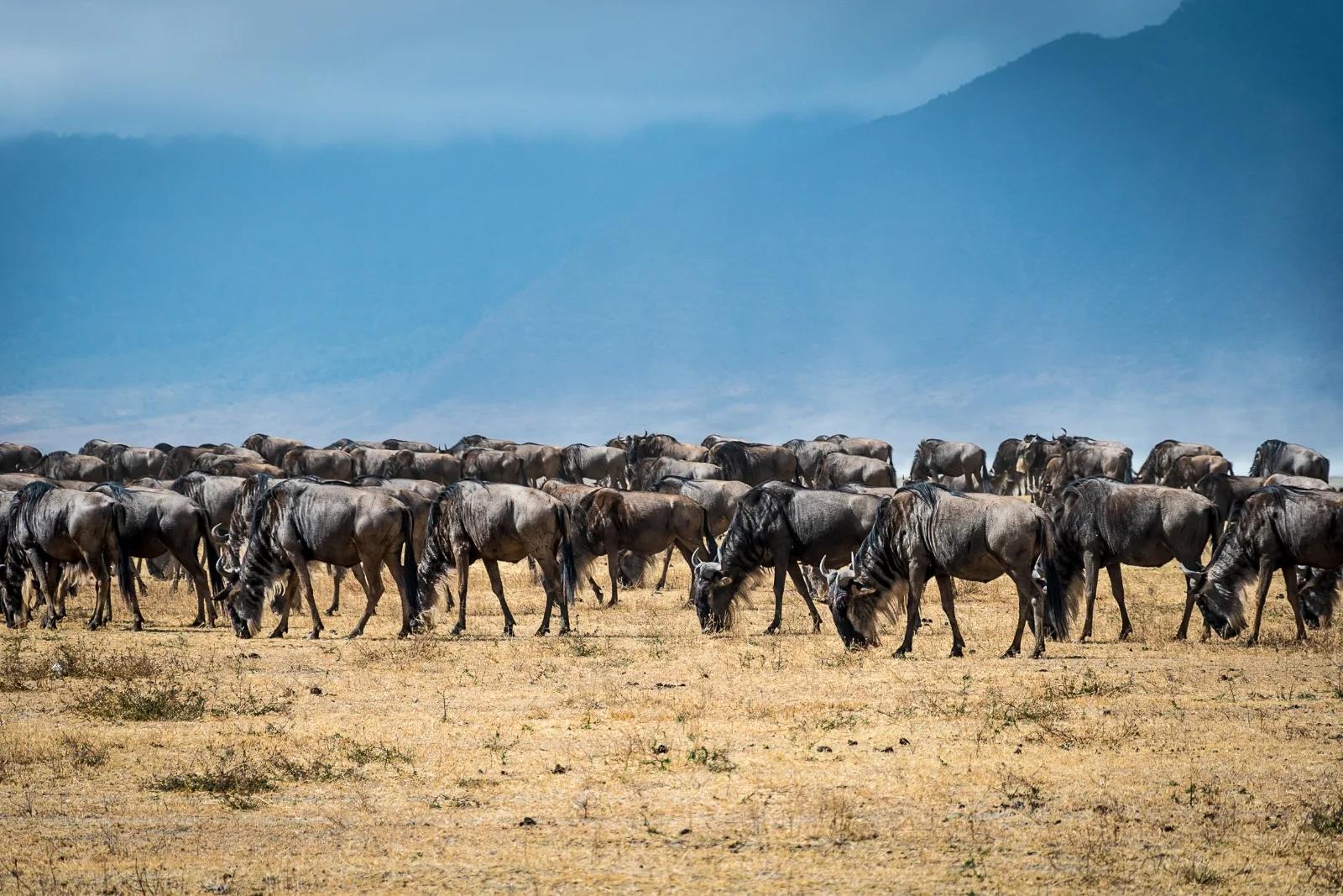 7-Day Touch of Okavango gallery image