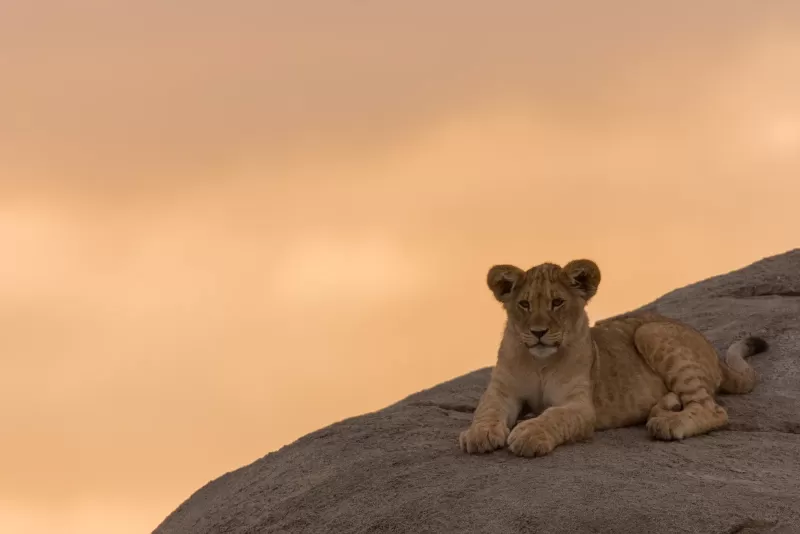 7-Day Botswana - Delta and Makgadikgadi Pans Safari gallery image