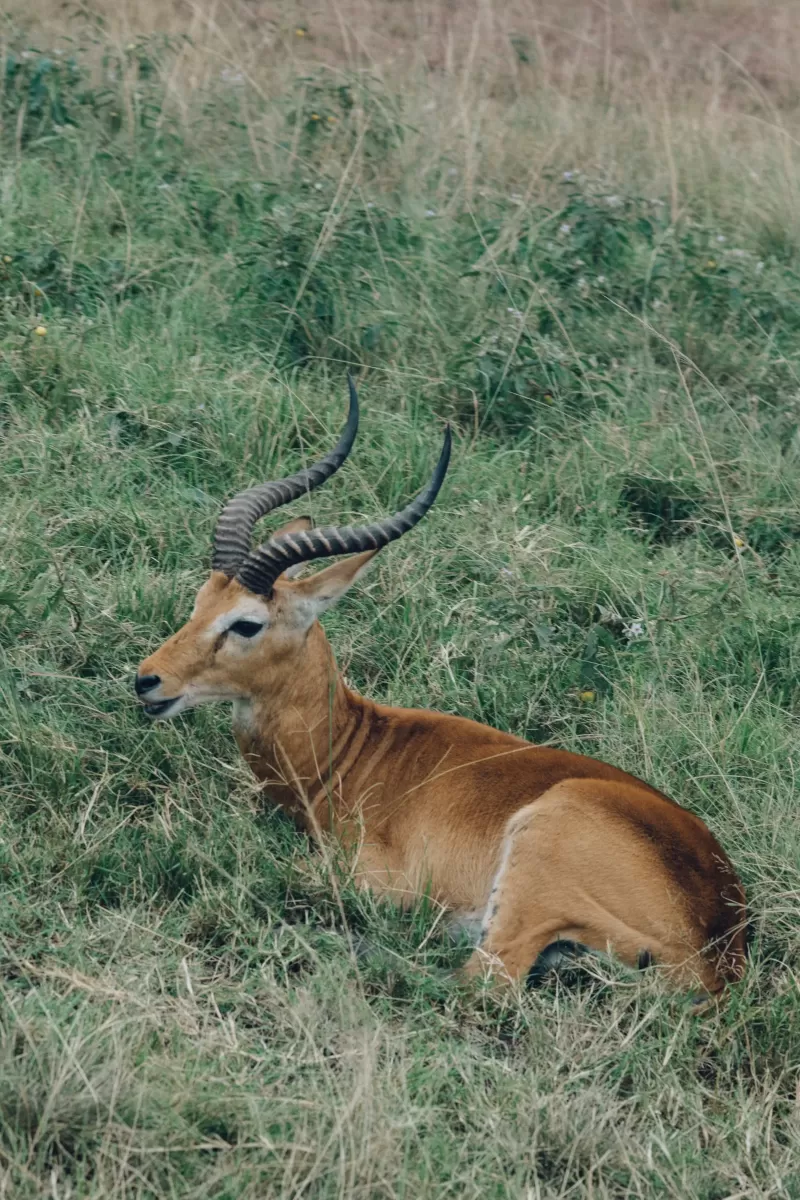 5-Day From Addis Ababa Northern Ethiopia with Flights gallery image