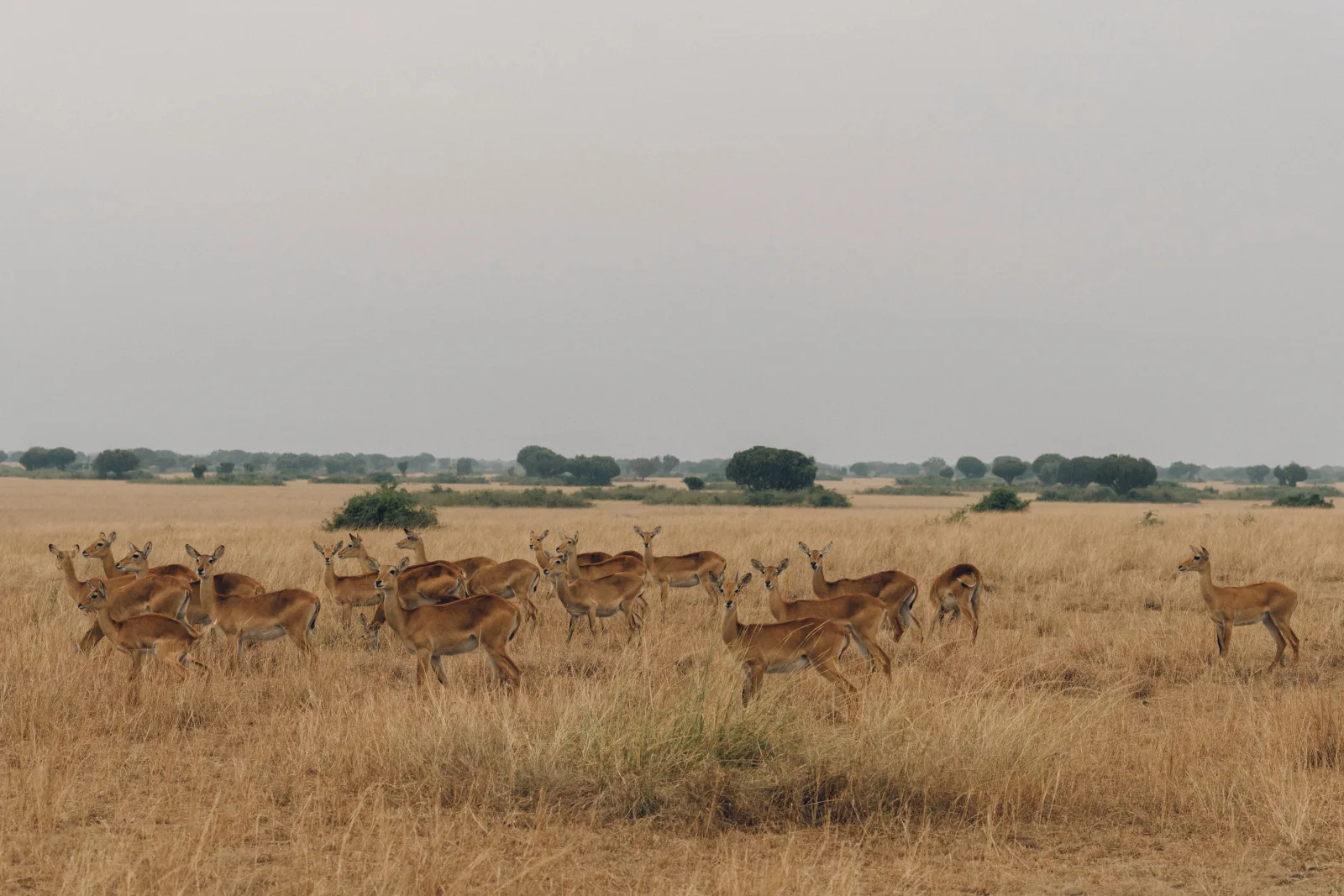 7-Day Desert to Delta Expedition gallery image