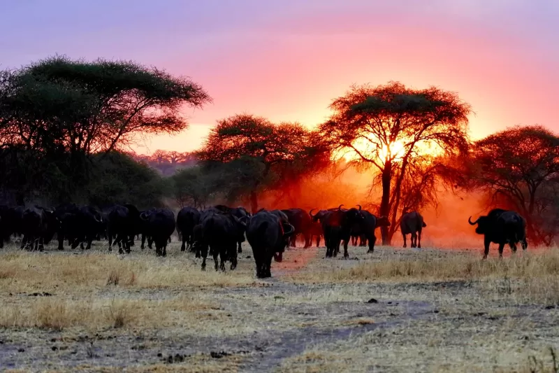 5-Day From Addis Ababa Northern Ethiopia with Flights gallery image