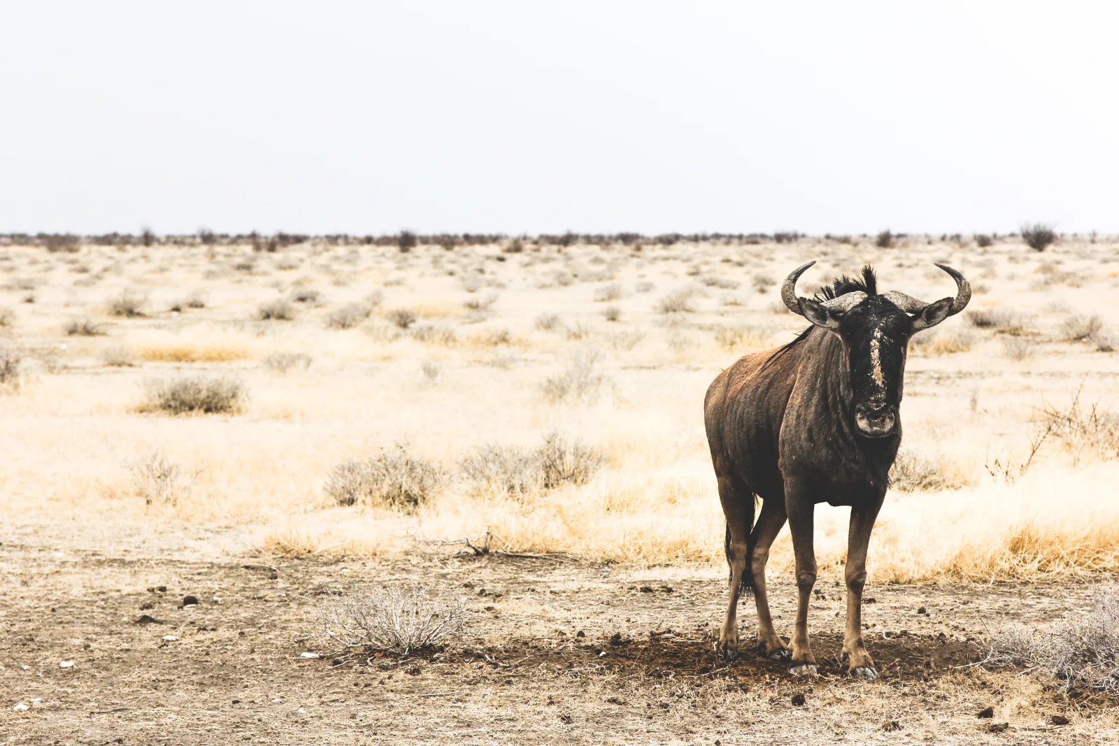 5-Day From Addis Ababa Northern Ethiopia with Flights gallery image