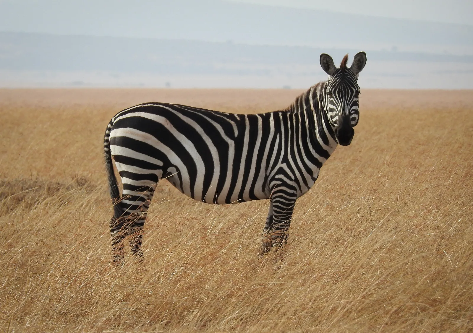 5-Day Omo Valley Cultural Tour from Arbaminch to Jinka