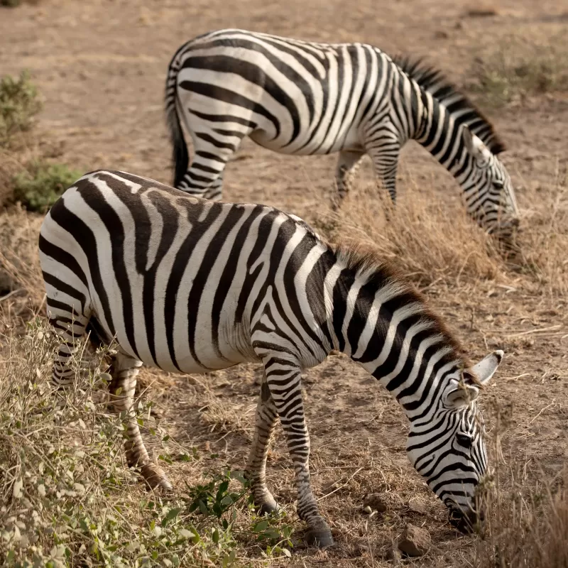 5-Day Omo Valley Cultural Tour from Arbaminch to Jinka gallery image