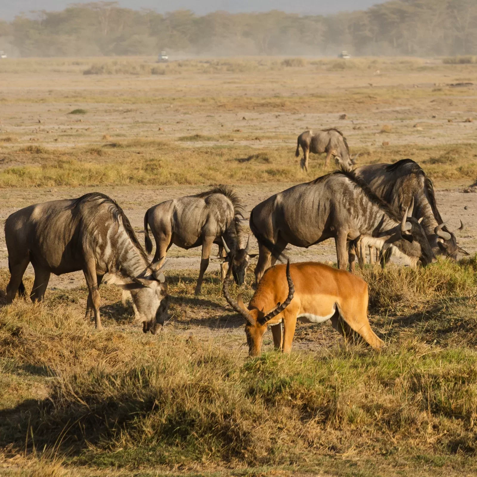 5-Day Majestic Simien Mountains Trekking Adventure hero photo