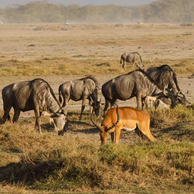 7-Day Discover Burundi gallery image