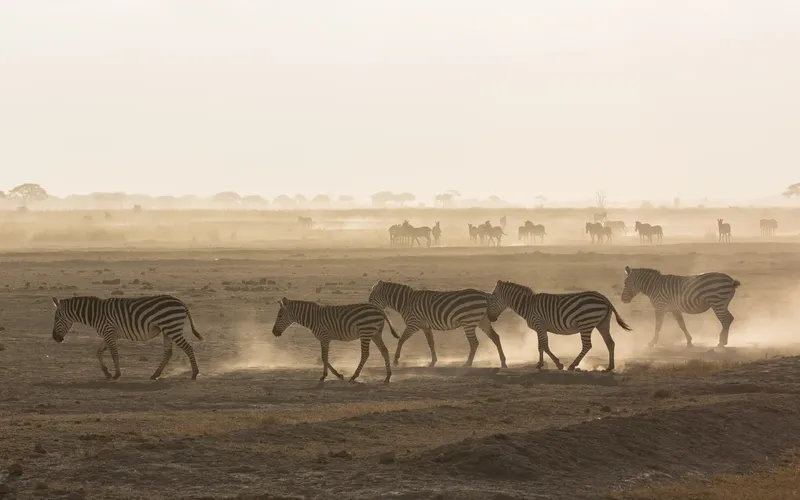 2-Day Tsavo East & Taita Hills (Saltlick Safarilodge) - Kenya safaris gallery image