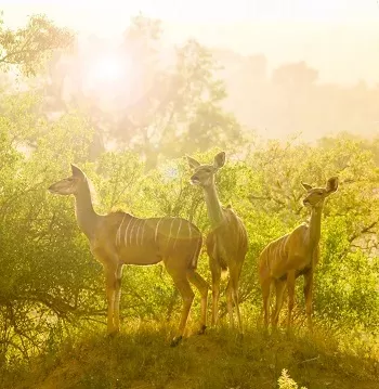 5-Day Community Hiking in Ethiopia's Green Gurage Zone gallery image