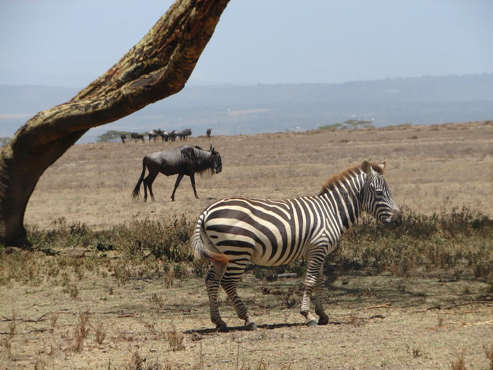 5-Day South of Ethiopia People Cultural Tour gallery image