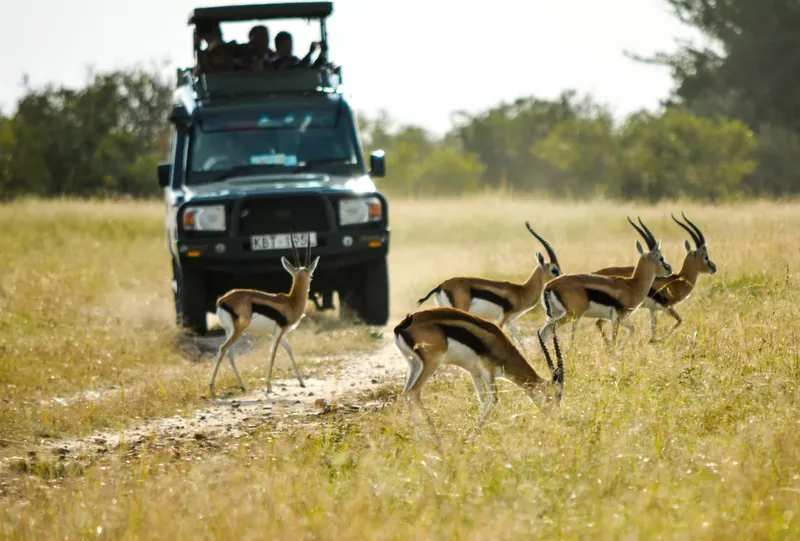 2-Day Amboseli Overnight Safari - Kenya tours