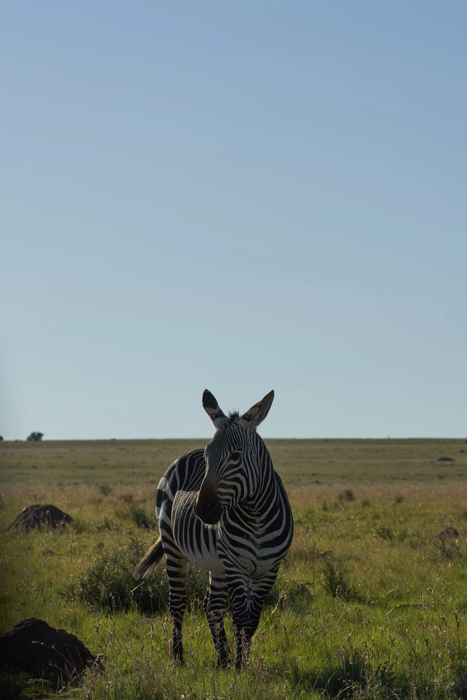 5-Day Overview of the Best of Omo Valley Tour gallery image