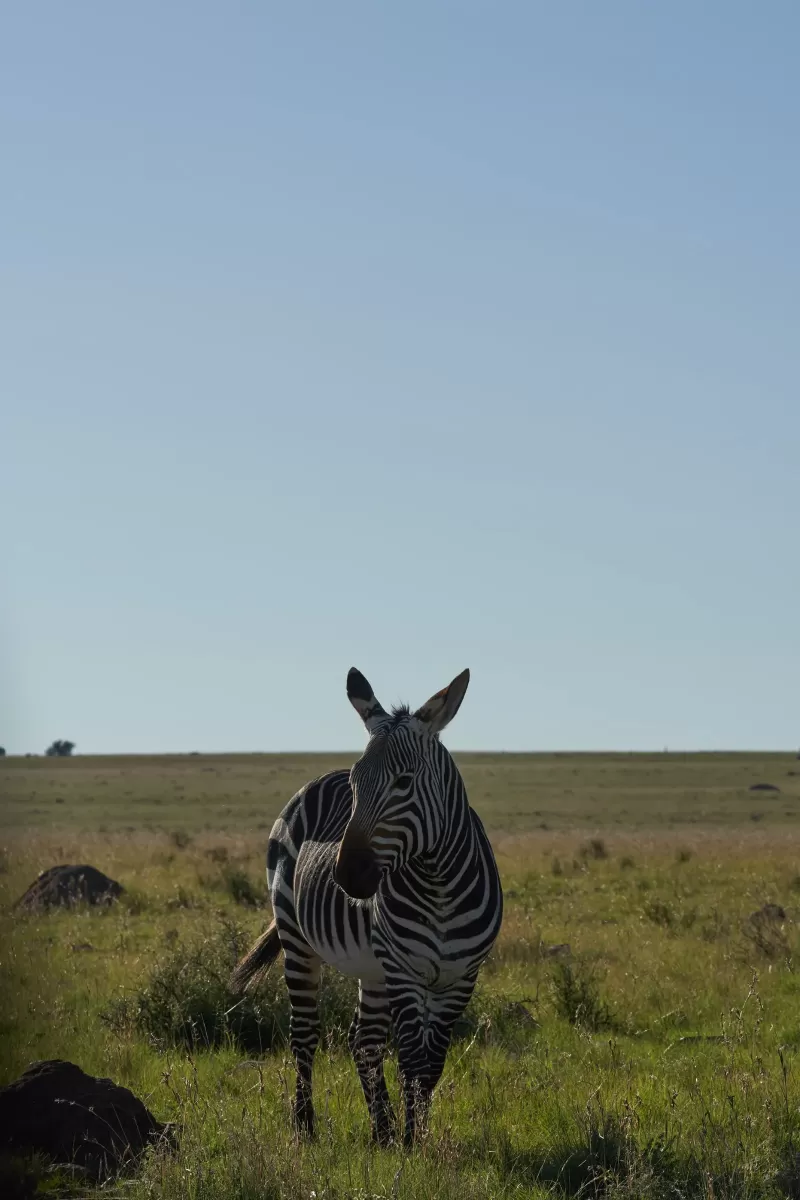 5-Day Overview of the Best of Omo Valley Tour gallery image