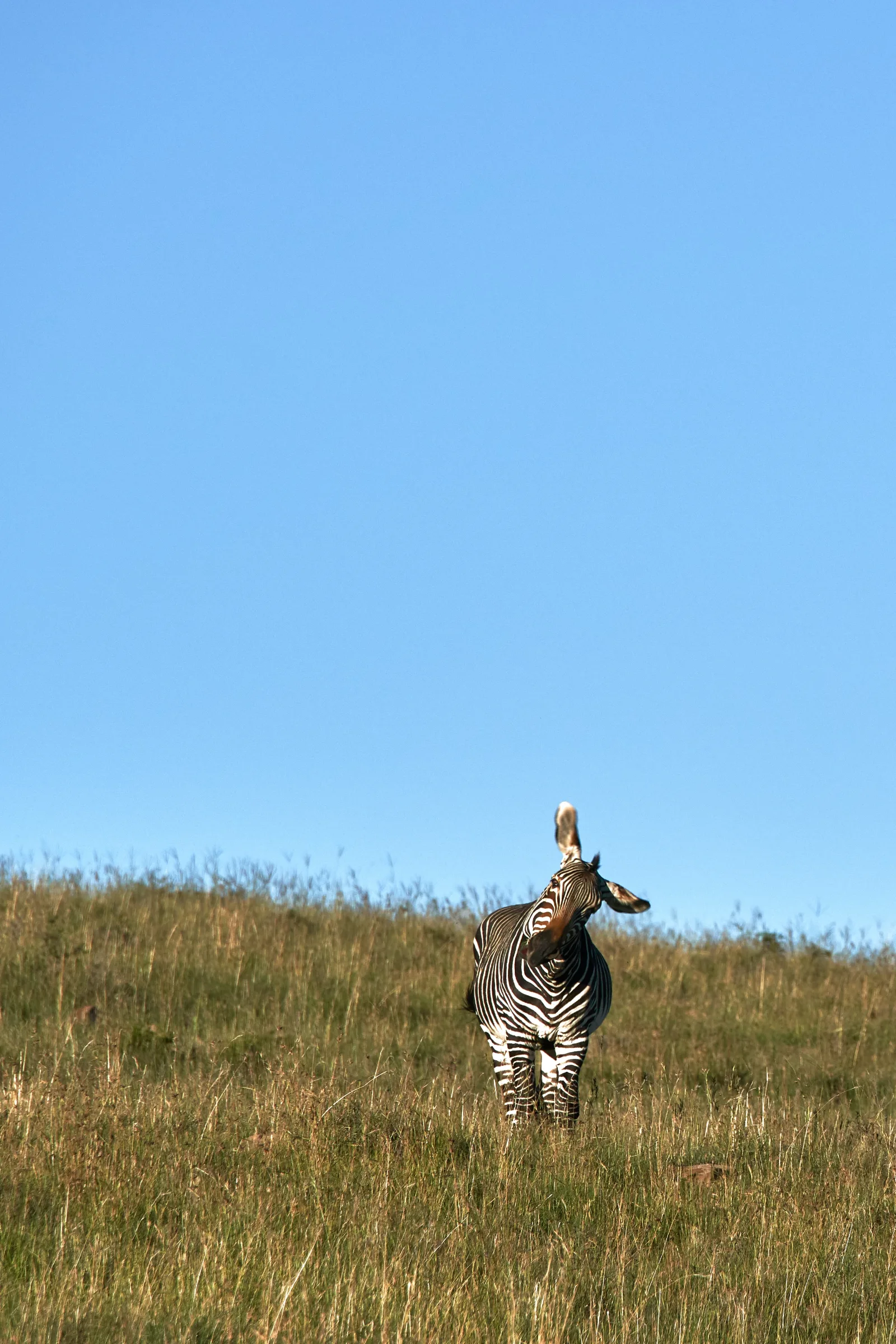 7-Day Kruger Park, Panorama Route & Swaziland Tour gallery image