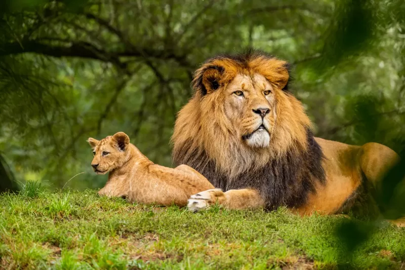 7-Day Affordable Botswana & Victoria Falls gallery image
