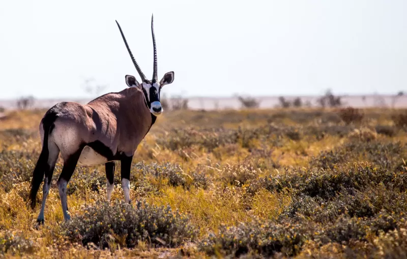 5-Day Rift Valley Lakes Tour gallery image