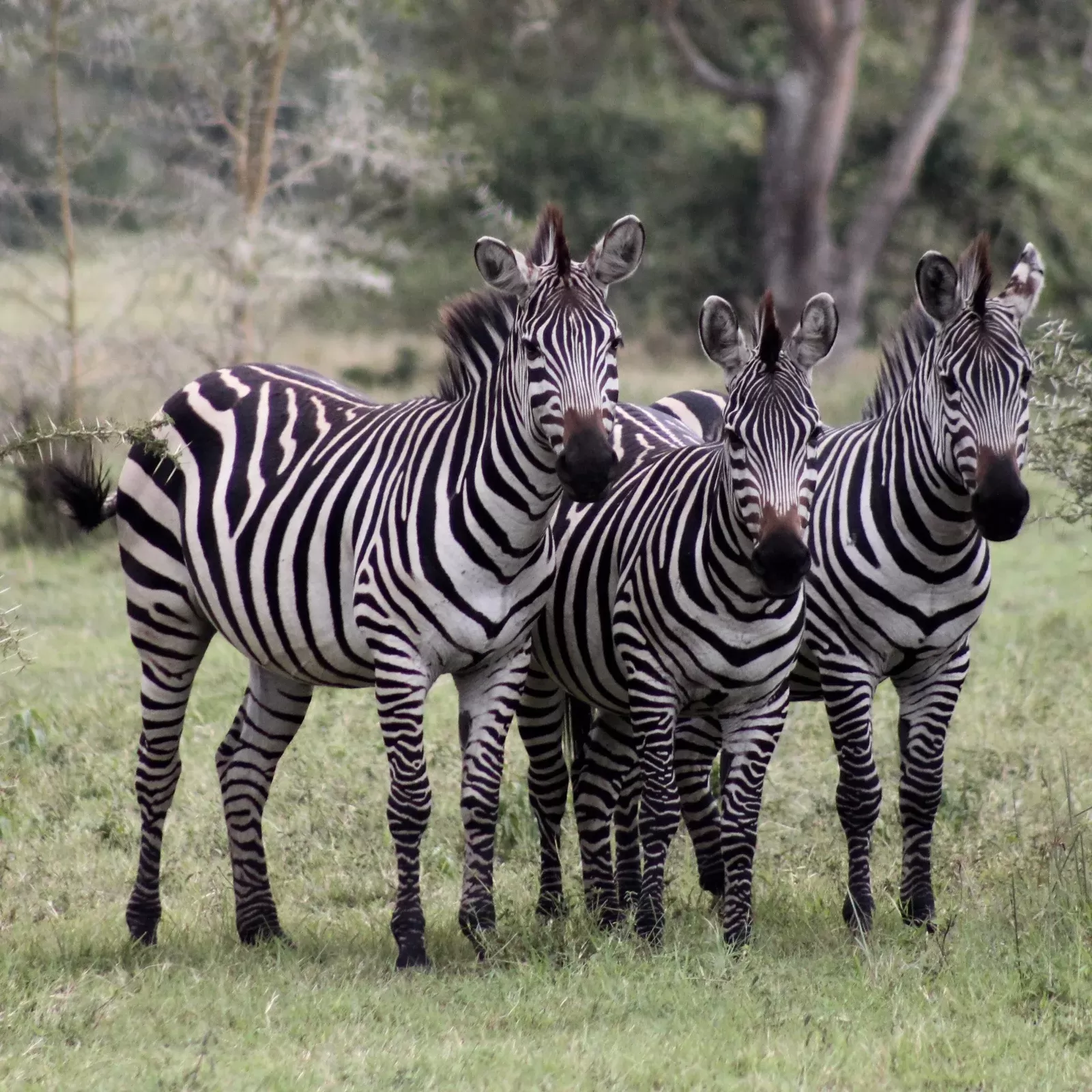 5-Day Omo Valley Tribal and Photography Tour hero photo