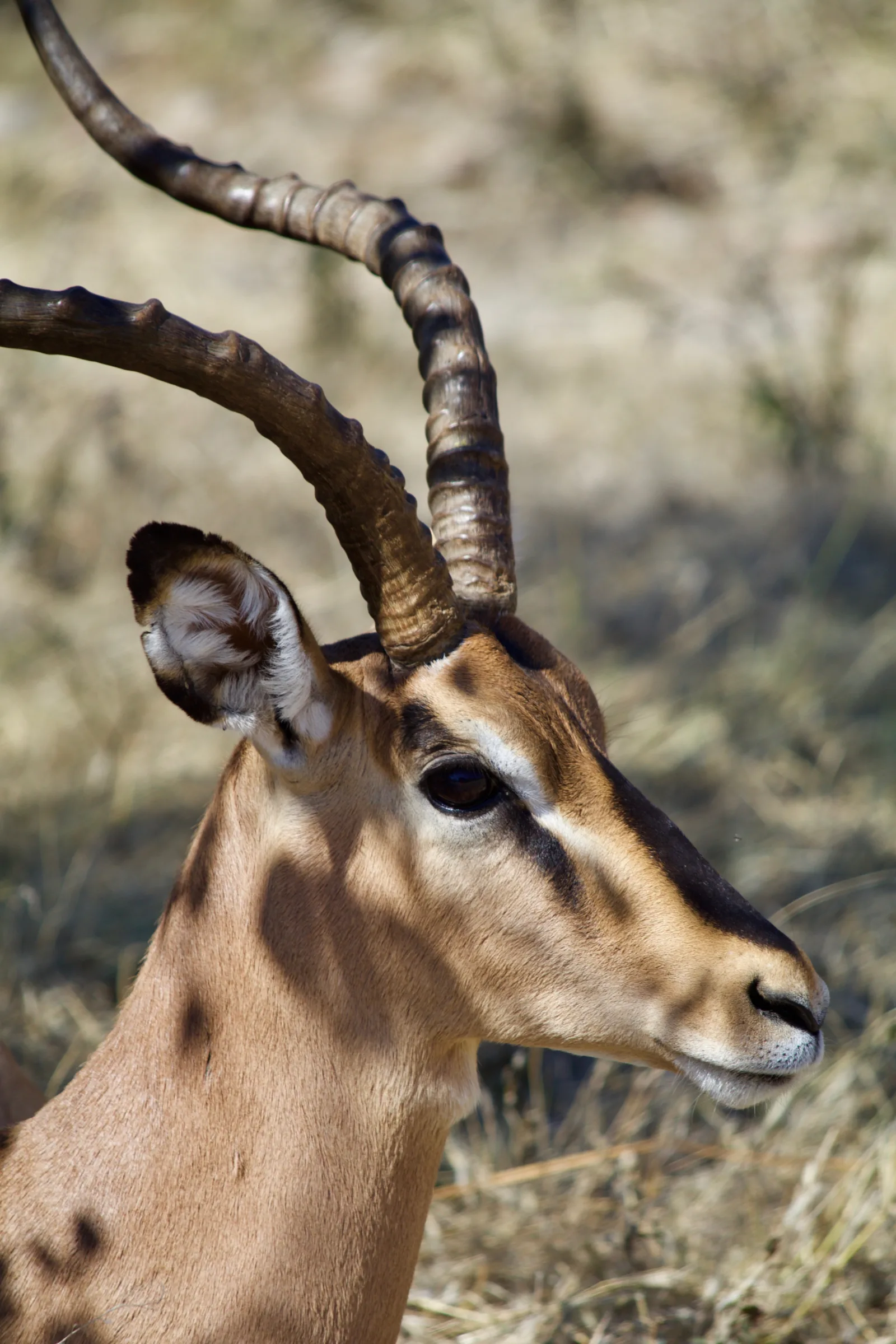 5-Day An Unforgettable Journey Omo Valley Ethiopia gallery image