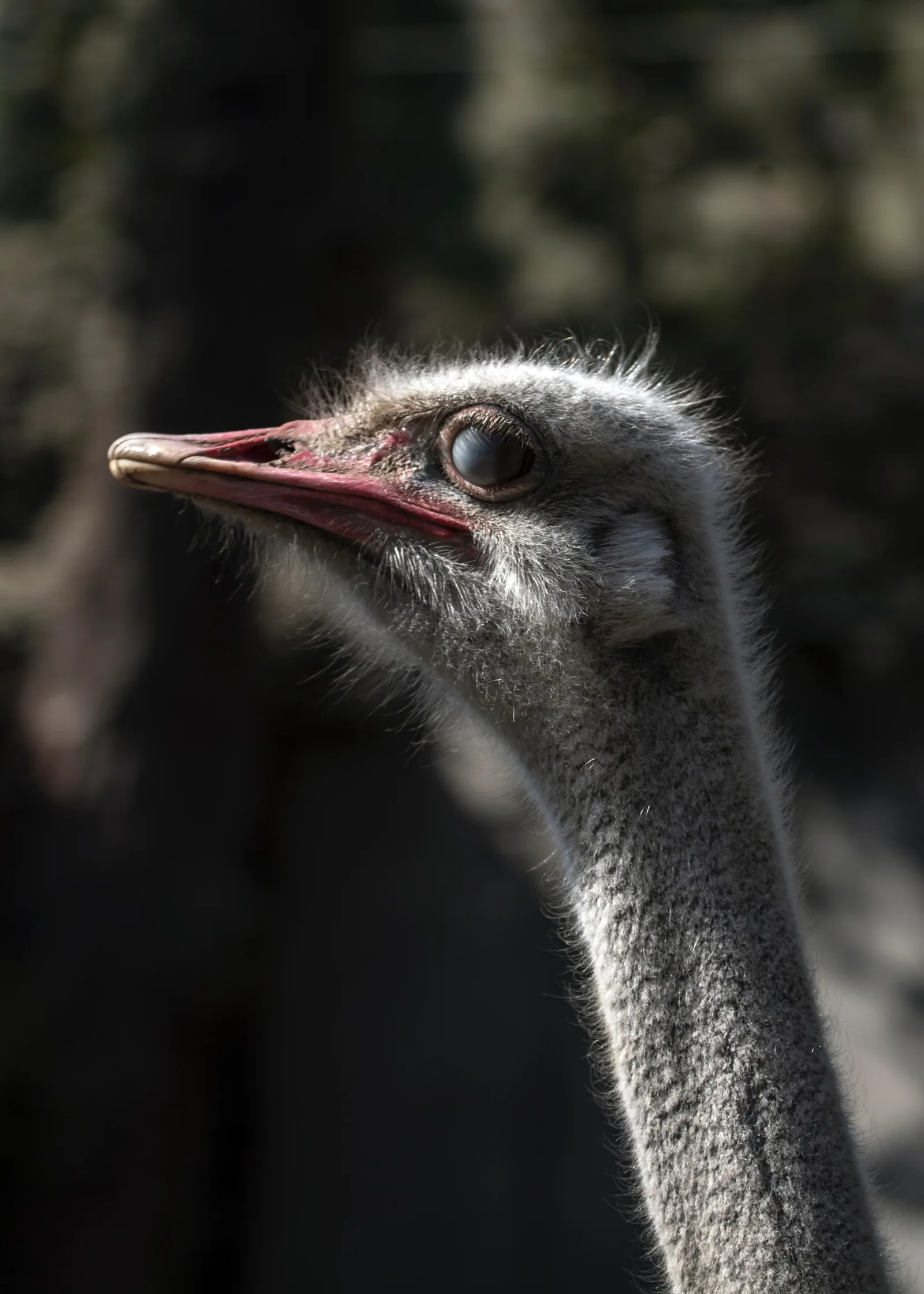 5-Day An Unforgettable Journey Omo Valley Ethiopia gallery image