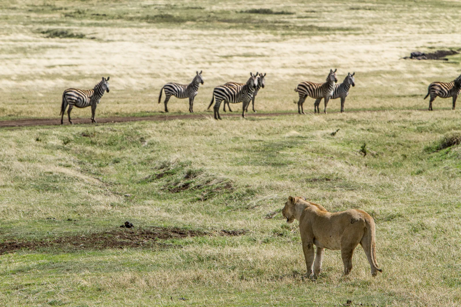 5-Day An Unforgettable Journey Omo Valley Ethiopia gallery image