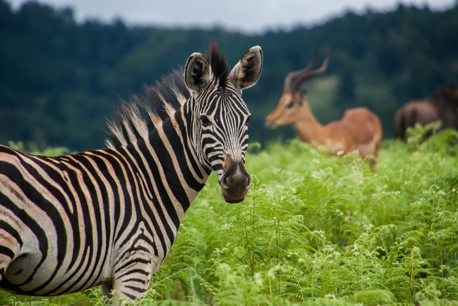 5-Day An Unforgettable Journey Omo Valley Ethiopia gallery image