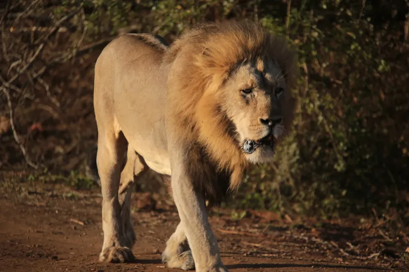 1-Day Crescent Island Boat and Walking Safari - Kenya tours