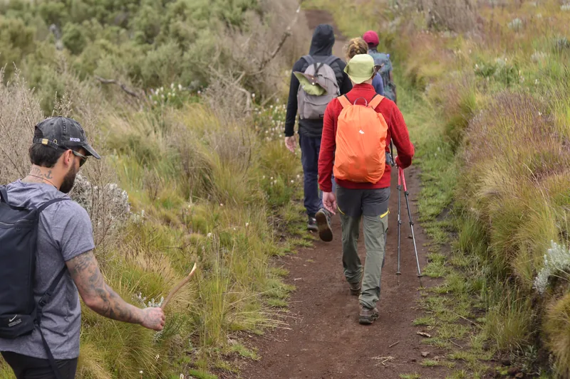 5 DAYS MARANGU ROUTE KILIMANJARO CLIMBING