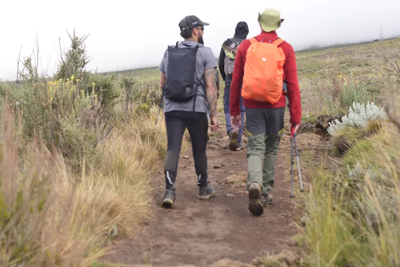 5 DAYS MARANGU ROUTE KILIMANJARO CLIMBING gallery image