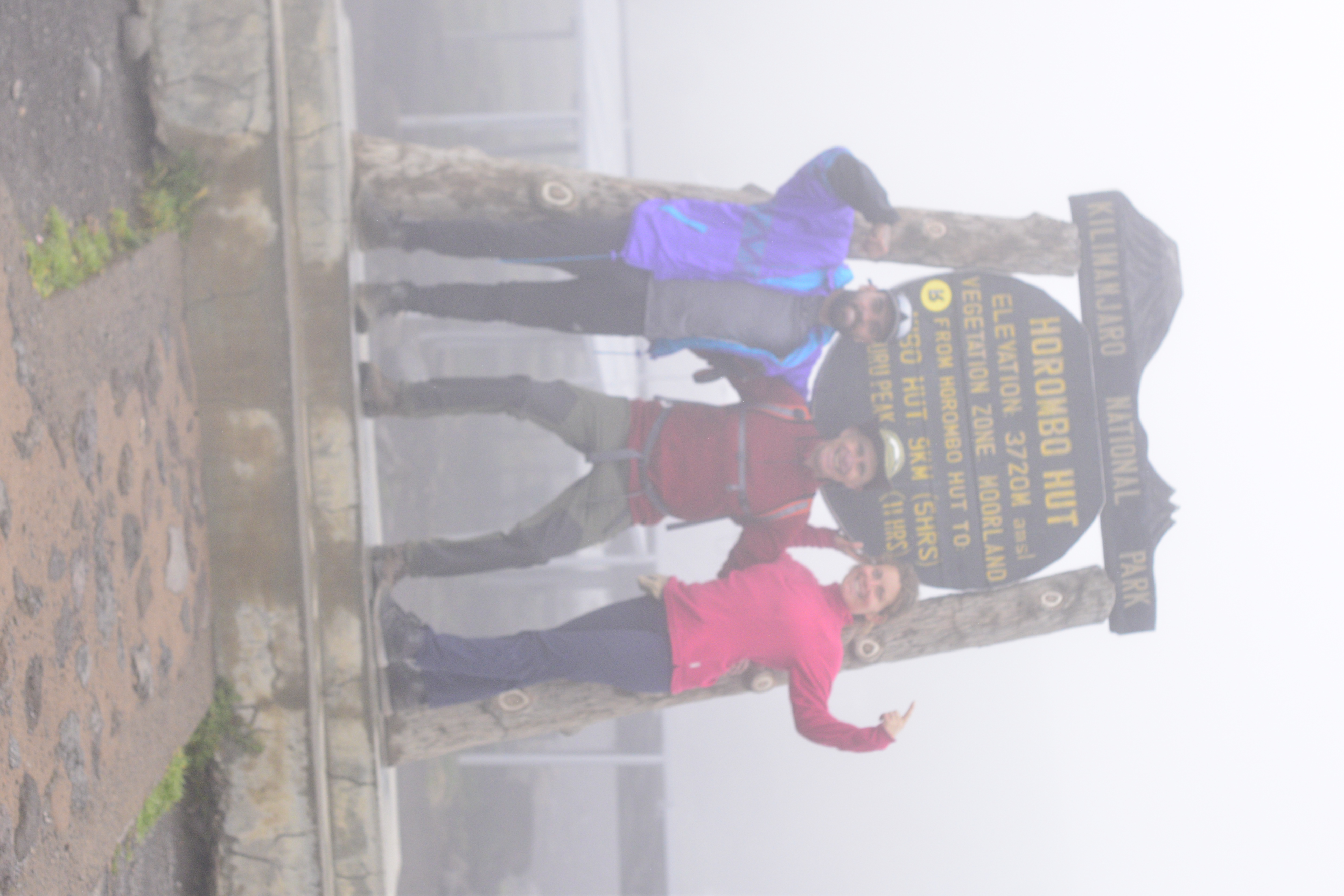 3-Day Mt Kilimanjaro Hike Tarangire & Ngorongoro Crater - Tanzania safari