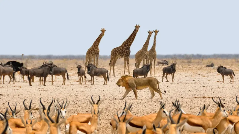 1-Day Epic Trip to Mikumi National Park by Sgr Train - Tanzania safari gallery image