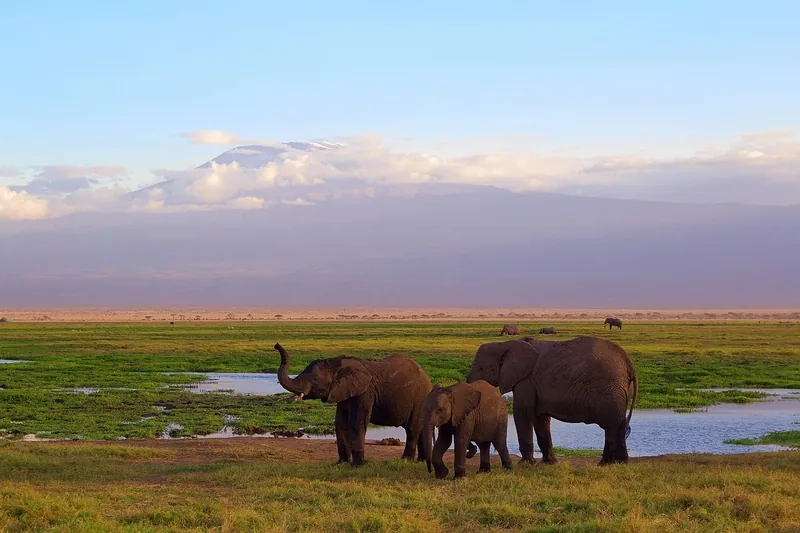 3-Day Majestic Camping Ngorongoro Serengeti - Tanzania safari