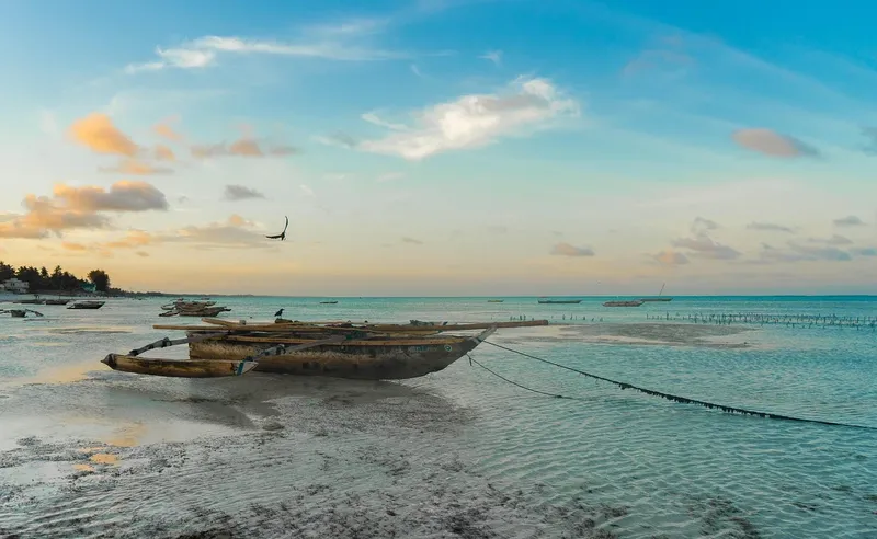 4-Day Fly into Serengeti Safari Experience from Zanzibar - Tanzania safari