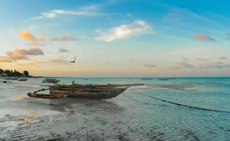 1-Day Trip from Zanzibar to Mikumi National Park - Tanzania safari