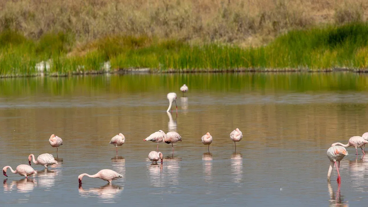 1-Day Trip to  Lake Challa Visit things to do in Moshi hero photo