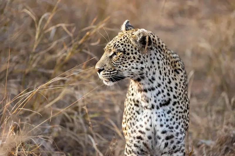 5-Day Amazing Tanzania Lodge Safari - Tanzania safari gallery image