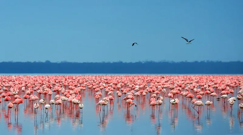 6-Day Best of Kenya Budget Group Joining Safari - Kenya tours gallery image