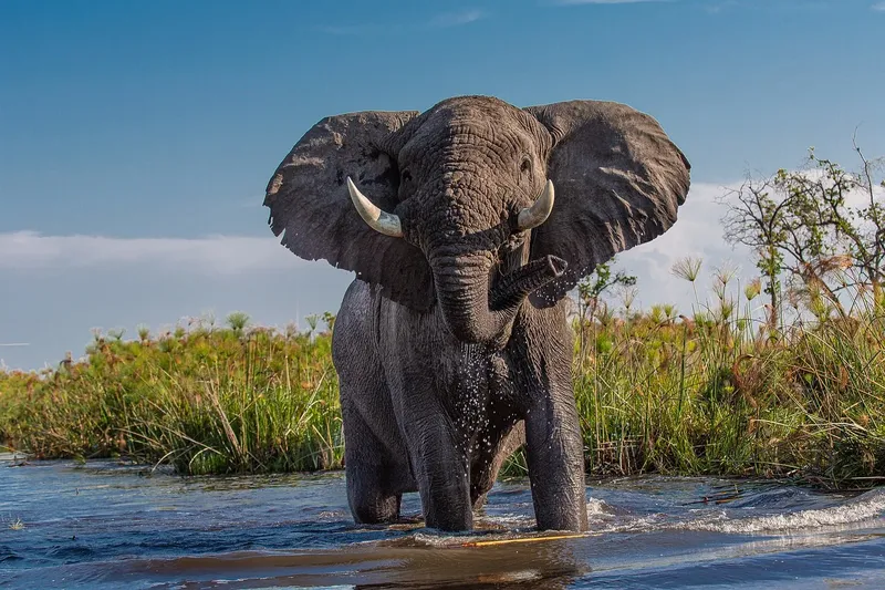 3-Day Explore Tarangire Ngorongoro &Manyara Group Join