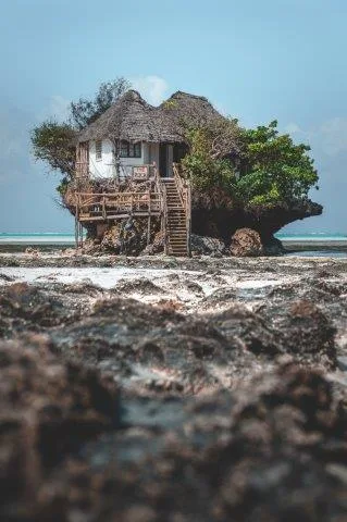 Zanzibar 8 Days Tours Package gallery image