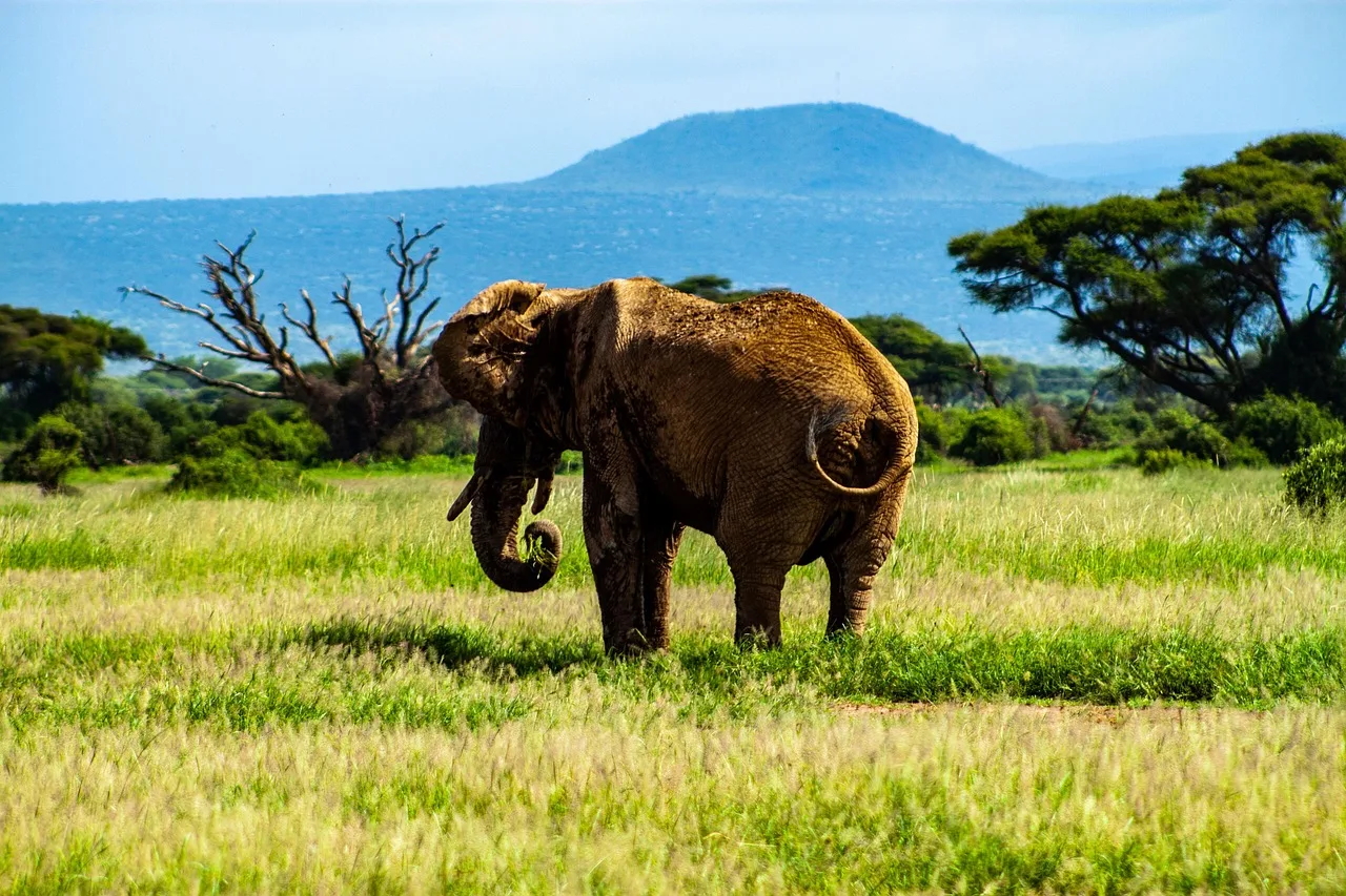 14-Days  Walking Safari in South Africa and Swaziland gallery image