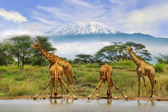 3-Day Karibu Mara Budget Group Joining Safari 4x4 Jeep - Kenya tours gallery image