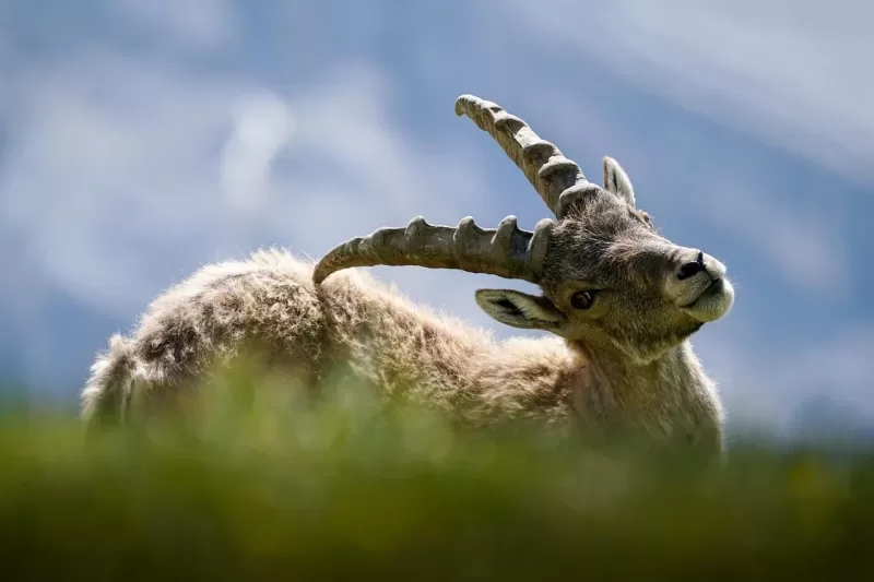6-Day Ethiopia Unseen Wild Animal, Nature and Photograph gallery image