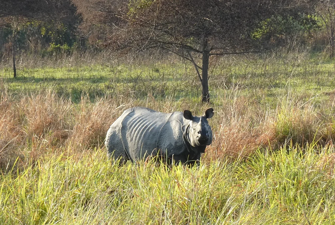 3-Day Tanzania Safari from Zanzibar(Offer) - Tanzania safari gallery image