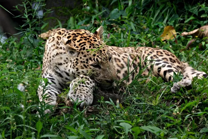 15-Days  Luxury Tour Starting in Cape Town