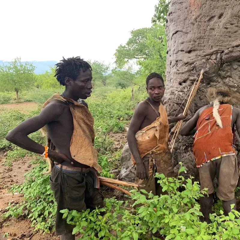2 Days Echoes of Africa, Ngorongoro & Hadzabe gallery image