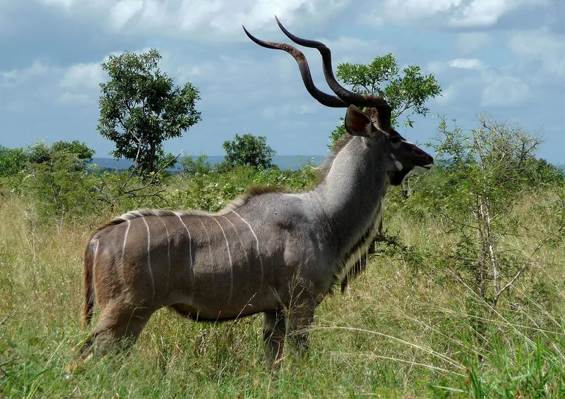 3-Day Best of Tanzania Safari - Mid Range impressive Tour gallery image